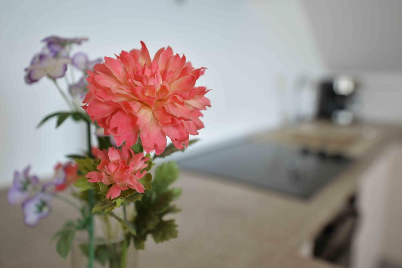 Apartmani Mikin Betina  Buitenkant foto